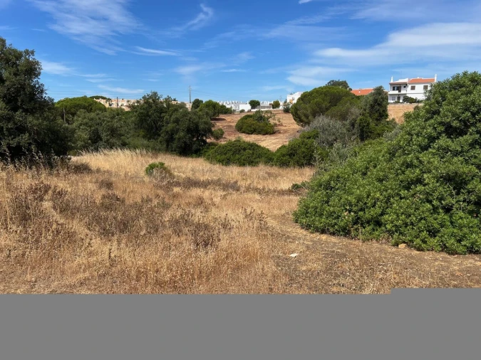 Terreno para Venda em Ferreiras Foto 33