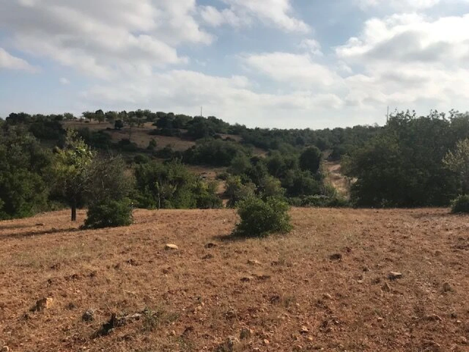 Terreno para Venda em Ferreiras Foto 6