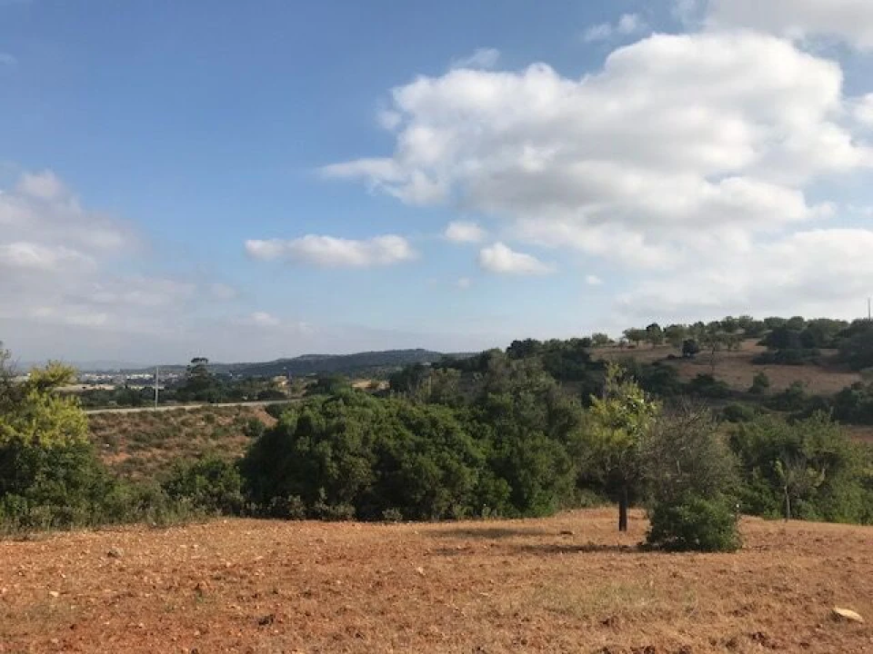 Terreno para Venda em Ferreiras Foto 10