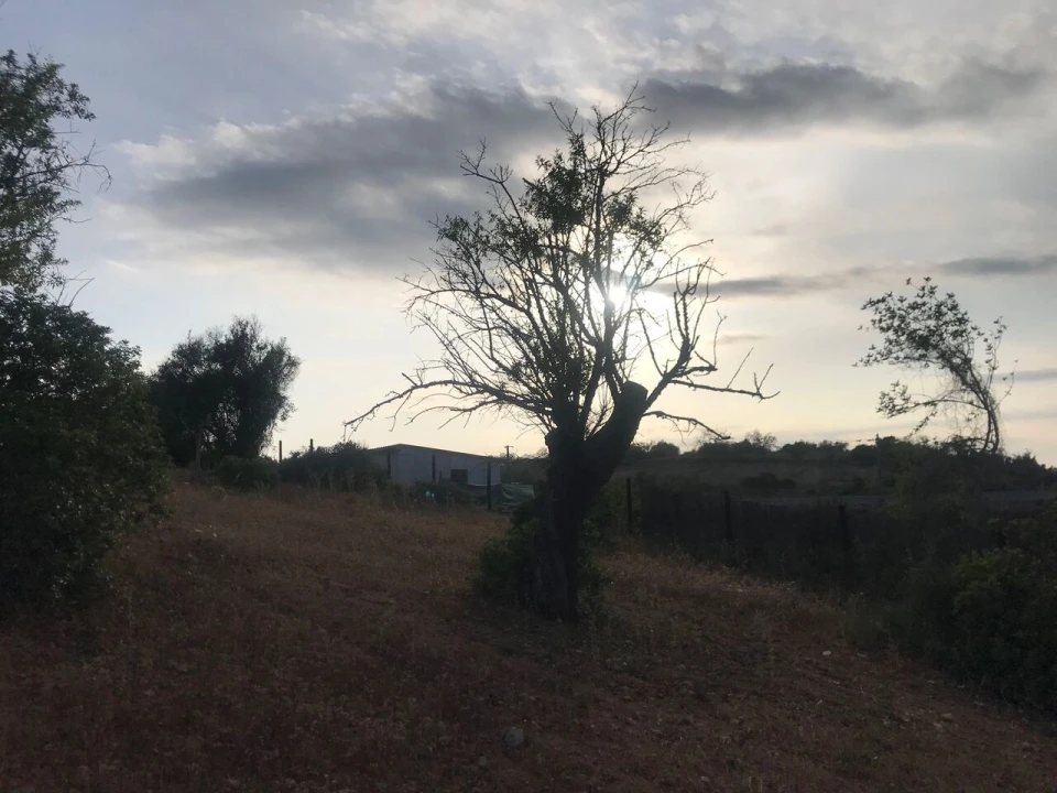 Terreno para Venda em Ferreiras Foto 20