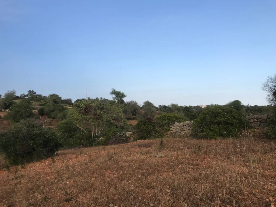 Terreno para Venda em Ferreiras Foto 31