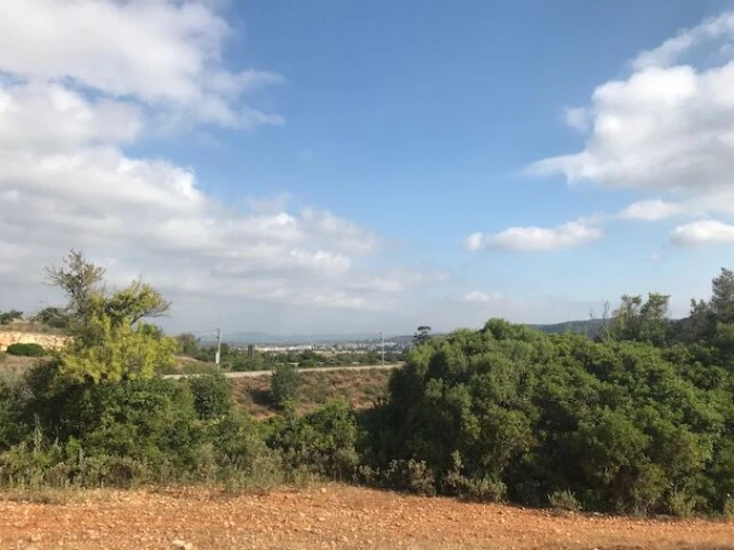 Terreno para Venda em Ferreiras Foto 7