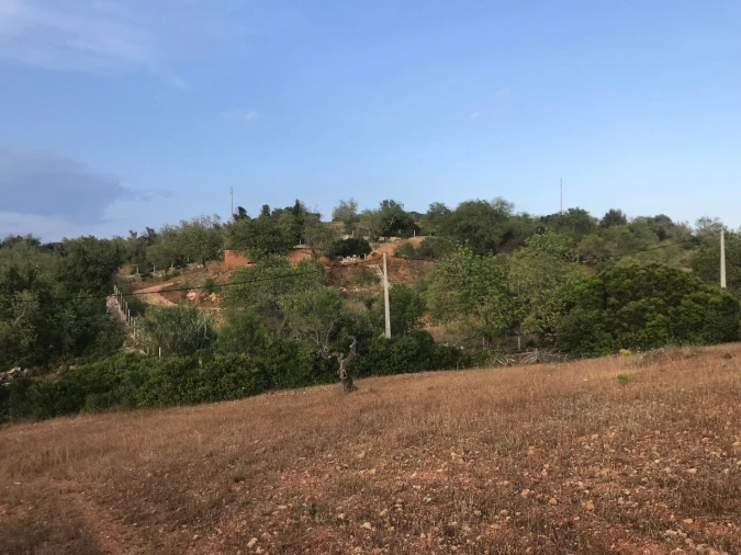 Terreno para Venda em Ferreiras Foto 24