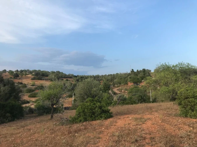 Terreno para Venda em Ferreiras Foto 27