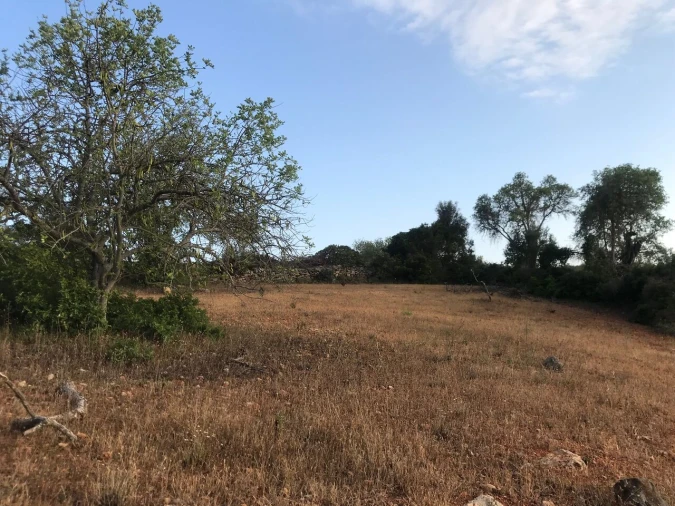 Terreno para Venda em Ferreiras Foto 28