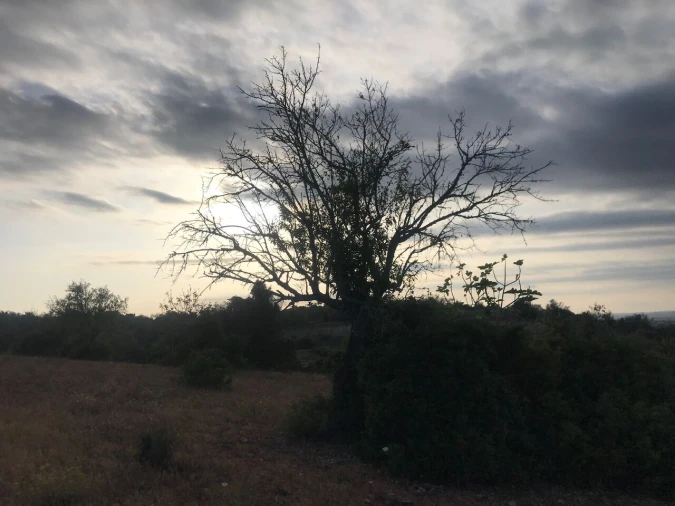 Terreno para Venda em Ferreiras Foto 22