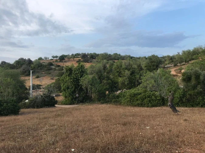 Terreno para Venda em Ferreiras Foto 38