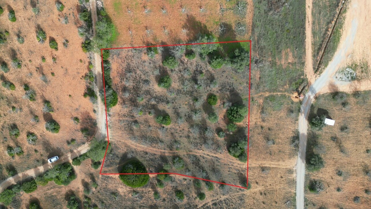 Terreno para Venda em Guia Foto 2