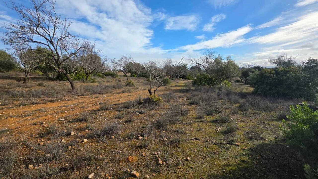 Terreno para Venda em Guia Foto 6