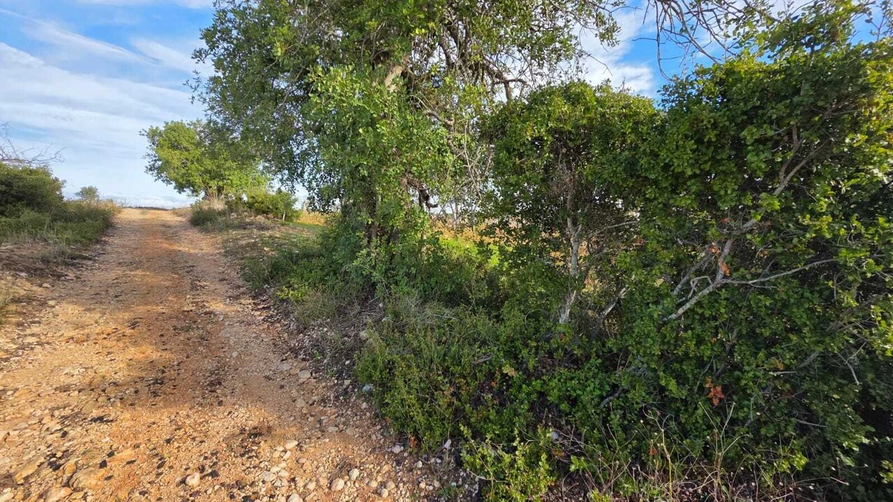 Terreno para Venda em Guia Foto 11