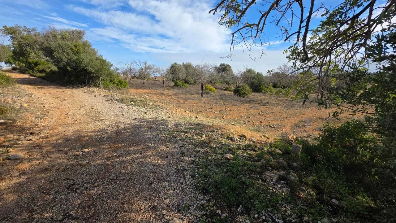 Terreno para Venda em Guia Foto 12