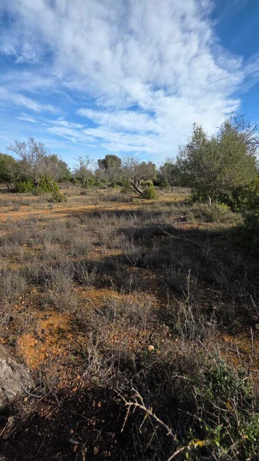 Terreno para Venda em Guia Foto 10
