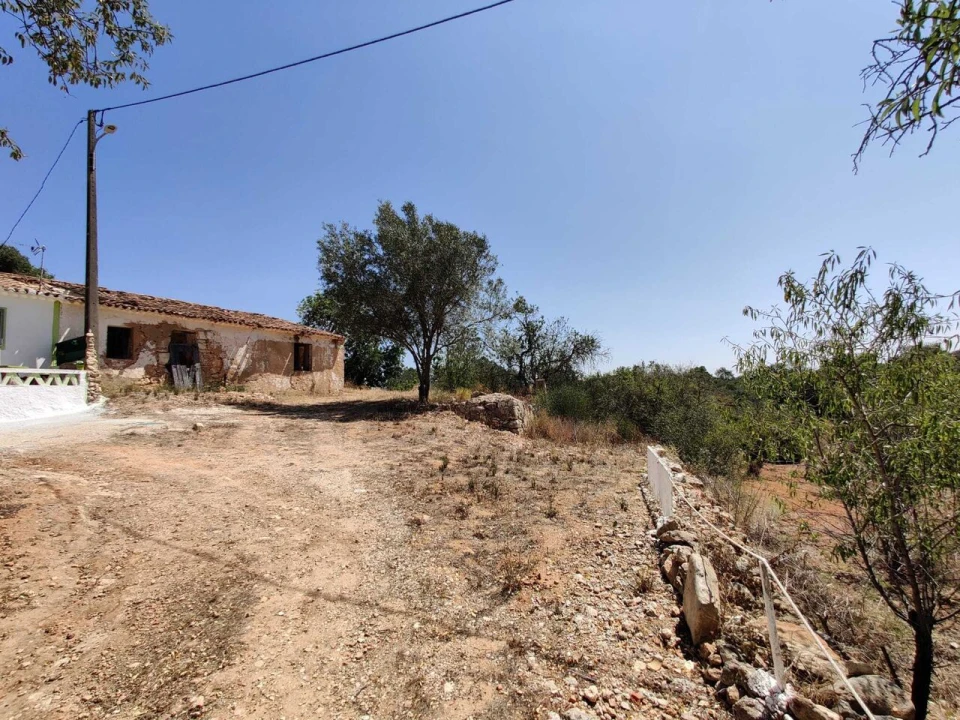Terreno para Venda em Alcantarilha e Pêra Foto 3