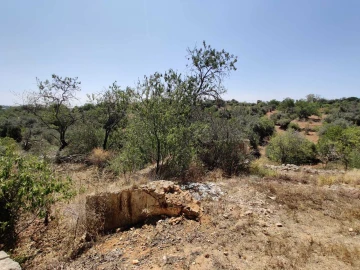 Terreno para Venda em Alcantarilha e Pêra