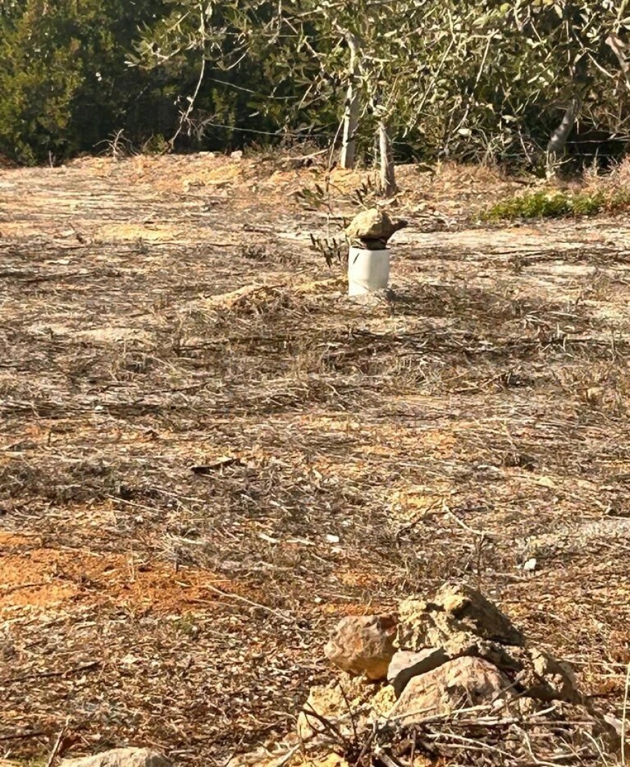 Terreno para Venda em Albufeira e Olhos de Água Foto 11