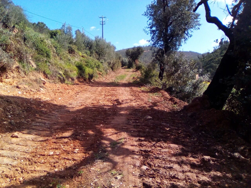 Terreno para Venda em Monchique Foto 9