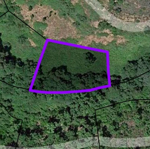 Terreno para Venda em Monchique Foto 10