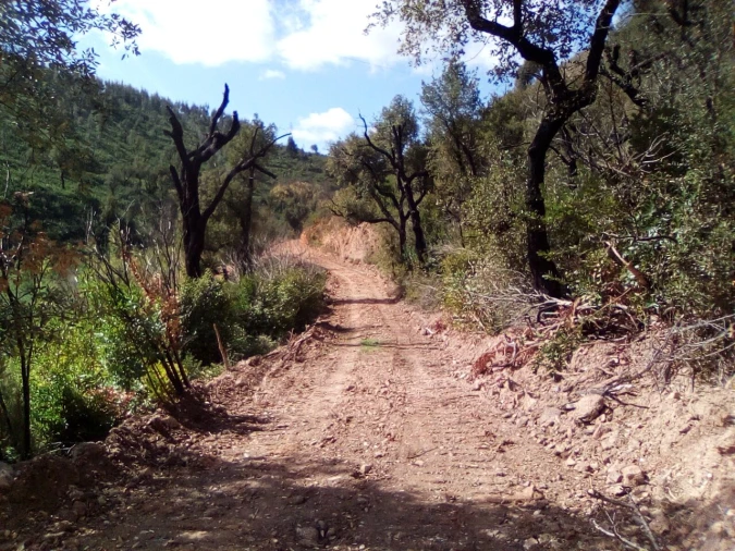 Terreno para Venda em Monchique Foto 7