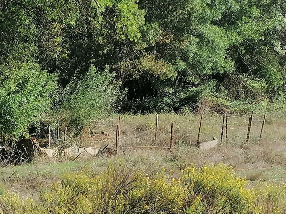 Moradia T3 para Venda em Santa Clara-A-Velha Foto 27