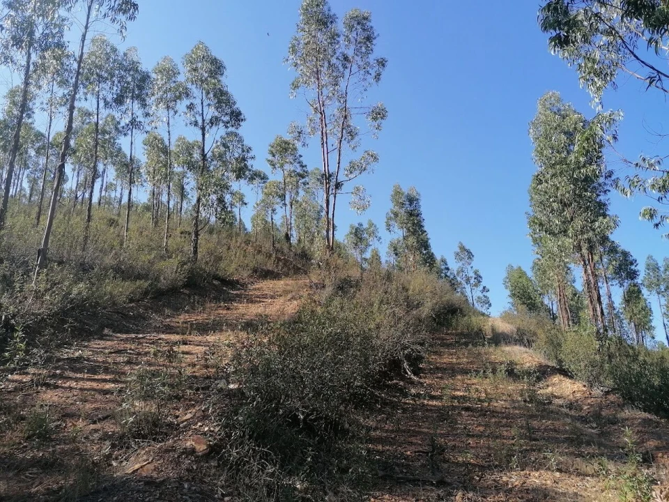 Moradia T3 para Venda em Santa Clara-A-Velha Foto 29