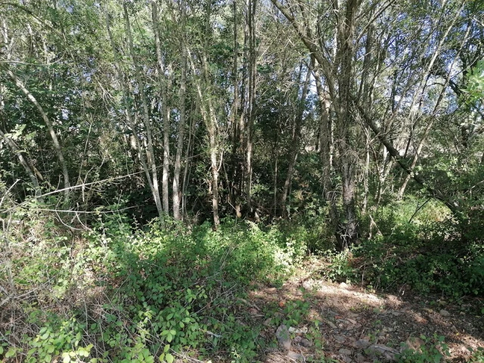 Moradia T3 para Venda em Santa Clara-A-Velha Foto 31