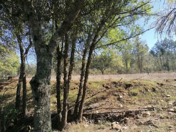 Moradia T3 para Venda em Santa Clara-A-Velha Foto 24