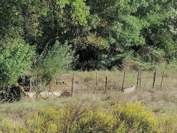 Moradia T3 para Venda em Santa Clara-A-Velha Foto 27