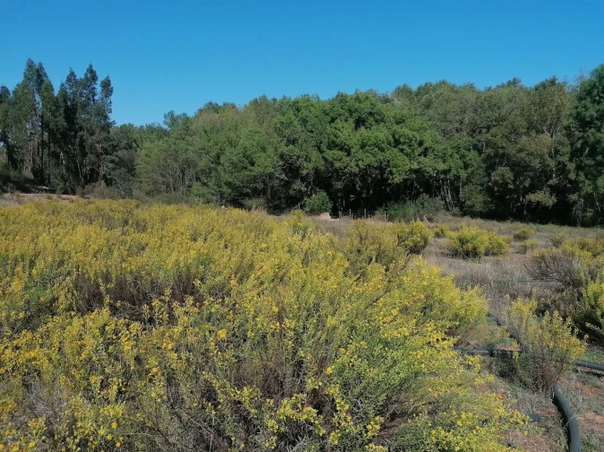 Moradia T3 para Venda em Santa Clara-A-Velha Foto 30