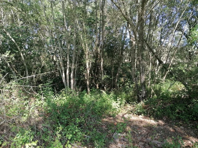 Moradia T3 para Venda em Santa Clara-A-Velha Foto 31