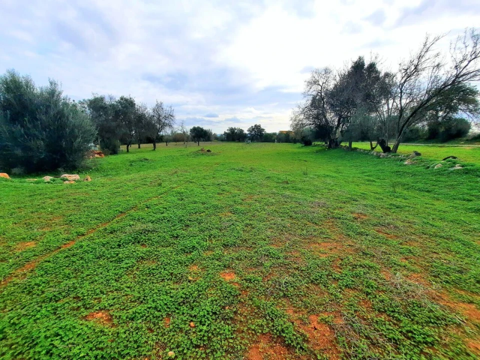 Terreno para Venda em São Bartolomeu de Messines Foto 11