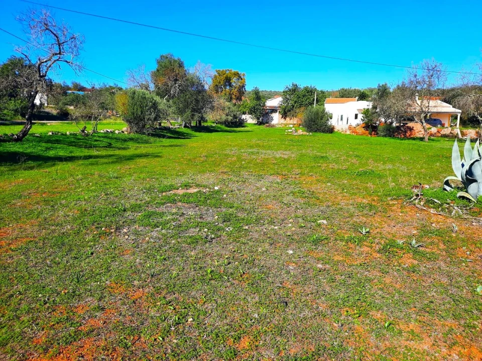 Terreno para Venda em São Bartolomeu de Messines Foto 7