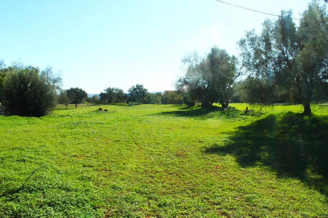 Terreno para Venda em São Bartolomeu de Messines Foto 6