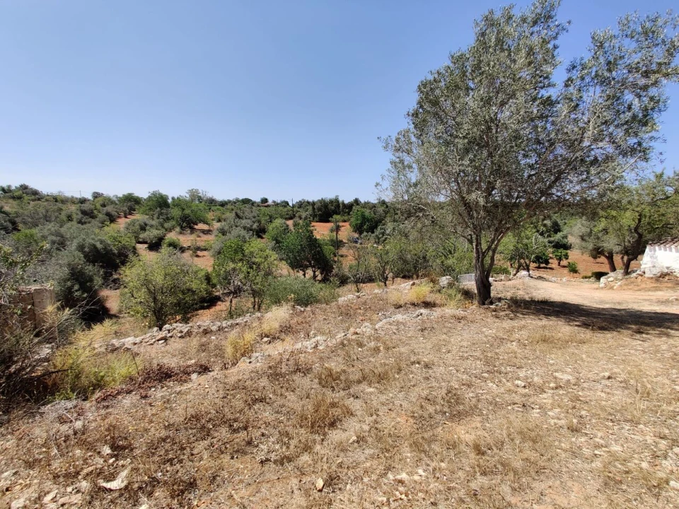 Moradia T3 para Venda em Alcantarilha e Pêra Foto 7