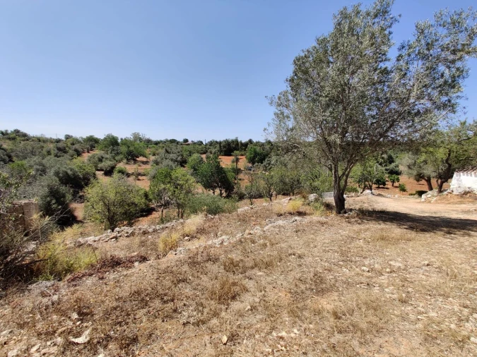 Moradia T3 para Venda em Alcantarilha e Pêra Foto 7