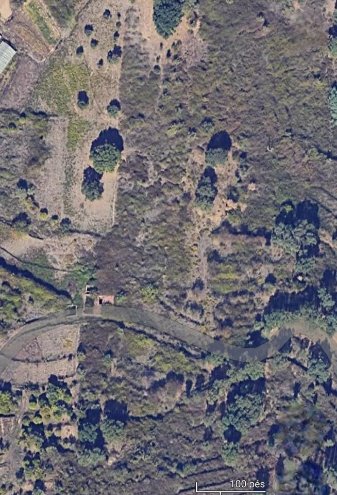 Terreno para Venda em Monchique Foto 6