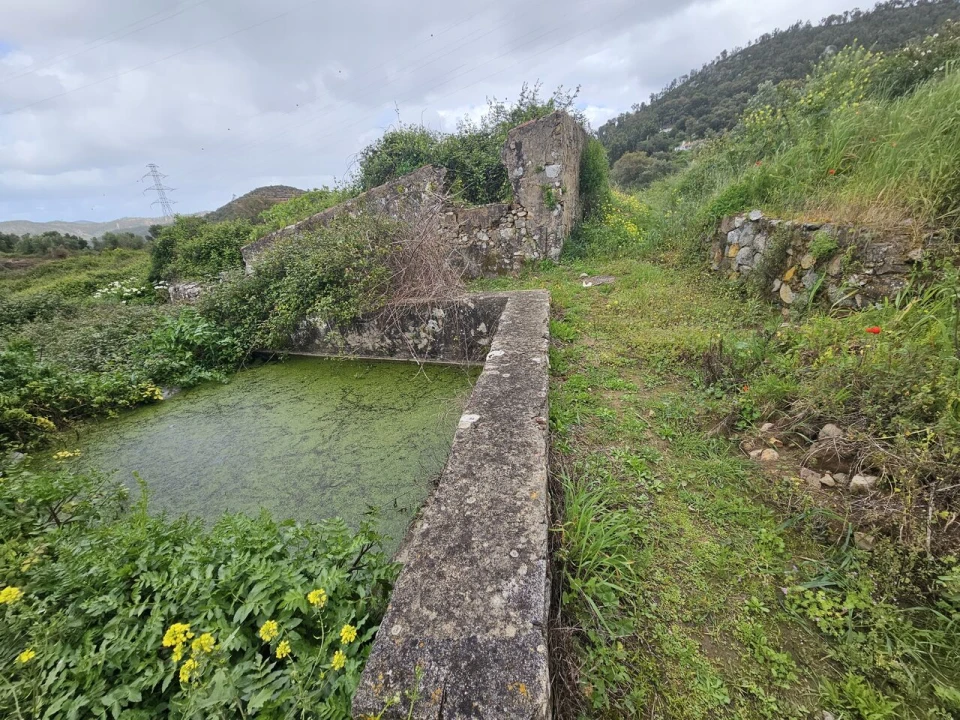 Terreno para Venda em Monchique Foto 1