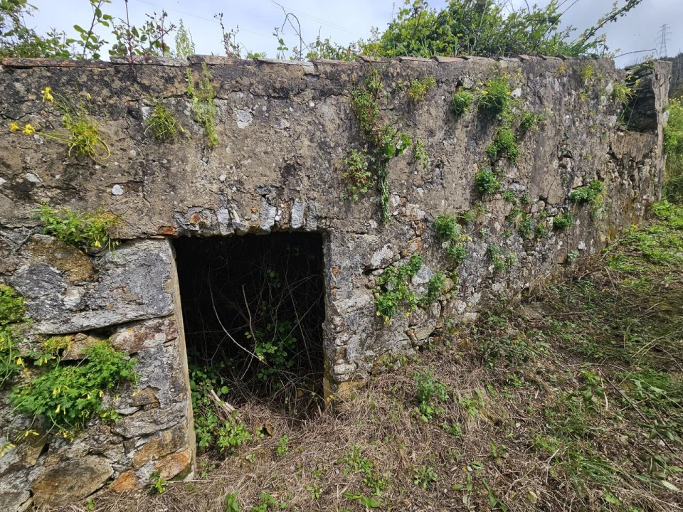 Terreno para Venda em Monchique Foto 4