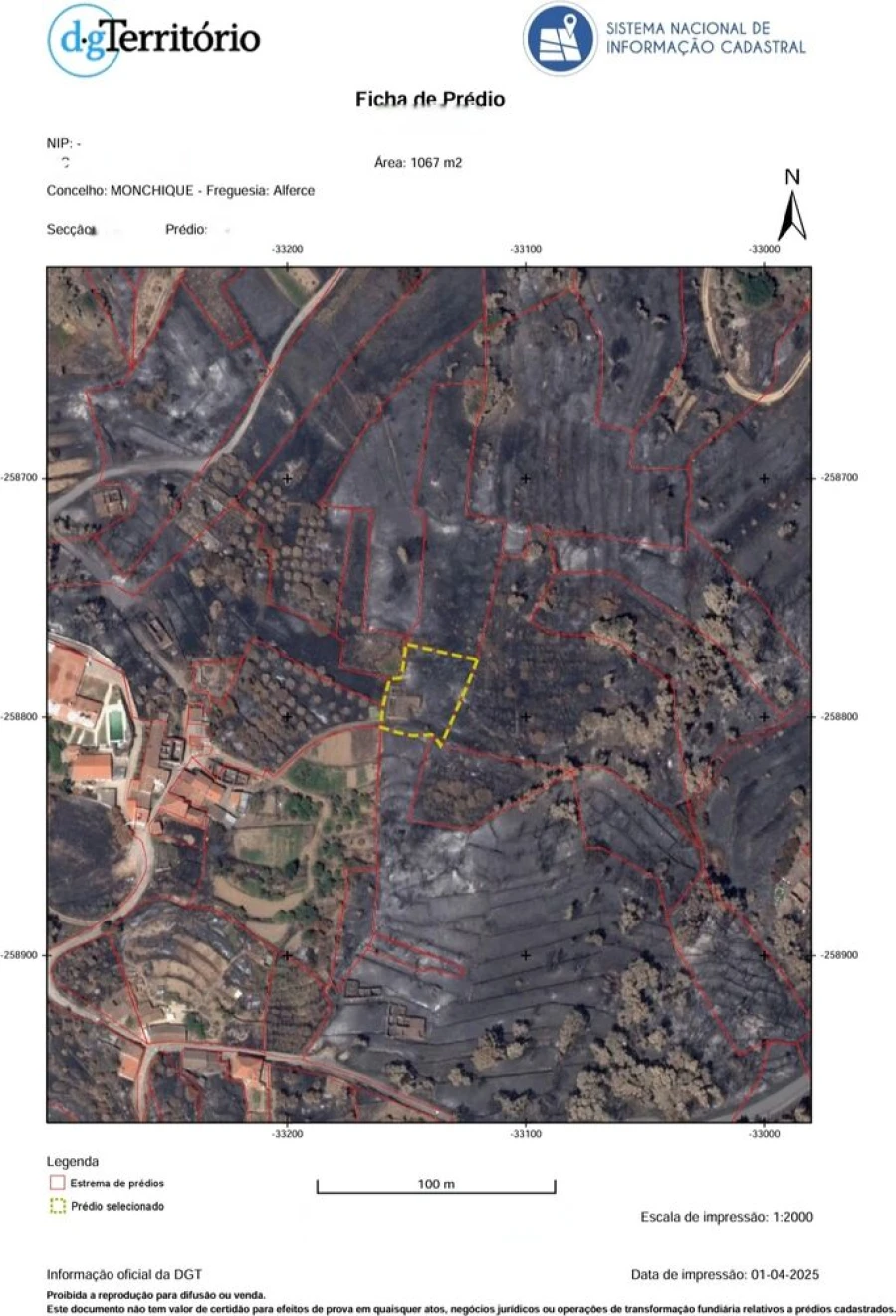 Terreno para Venda em Monchique Foto 7