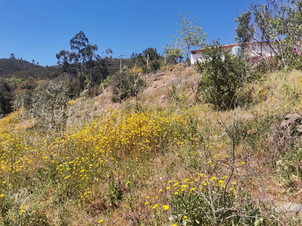 Quinta T2 para Venda em Marmelete Foto 2