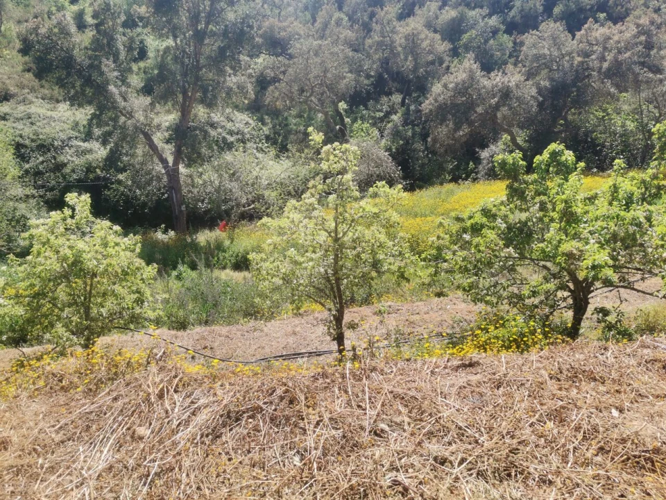 Quinta T2 para Venda em Marmelete Foto 7