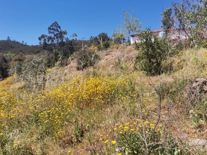 Quinta T2 para Venda em Marmelete Foto 2