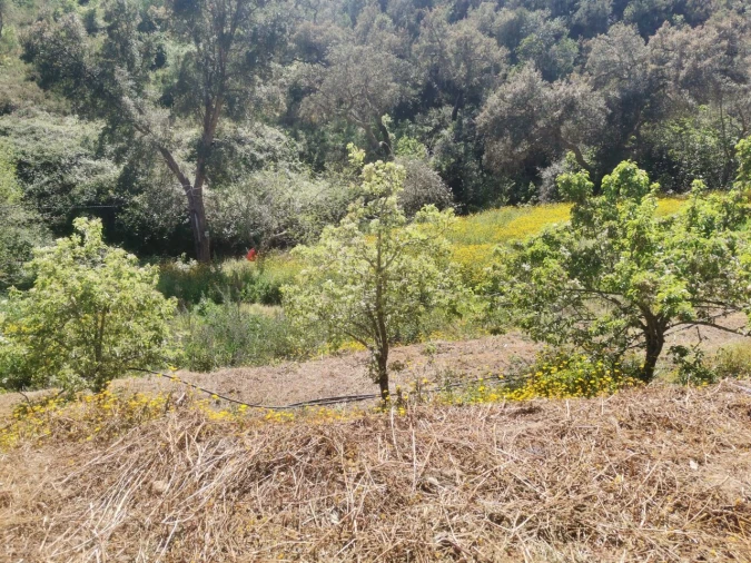 Quinta T2 para Venda em Marmelete Foto 7