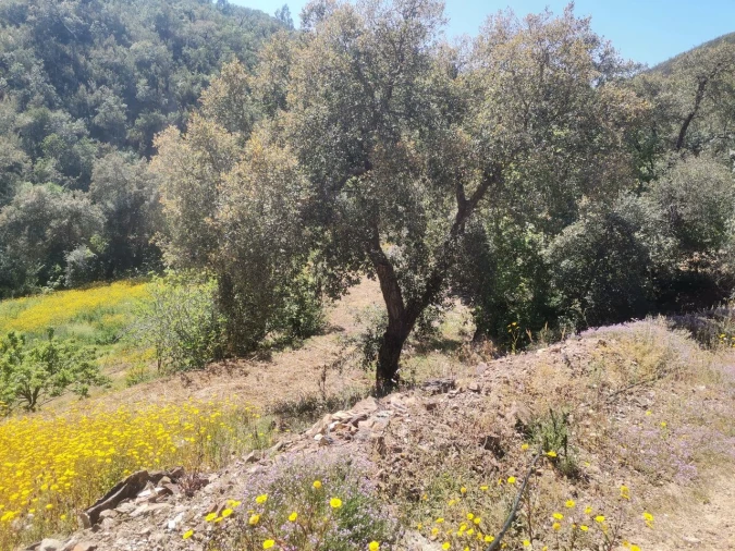 Quinta T2 para Venda em Marmelete Foto 8