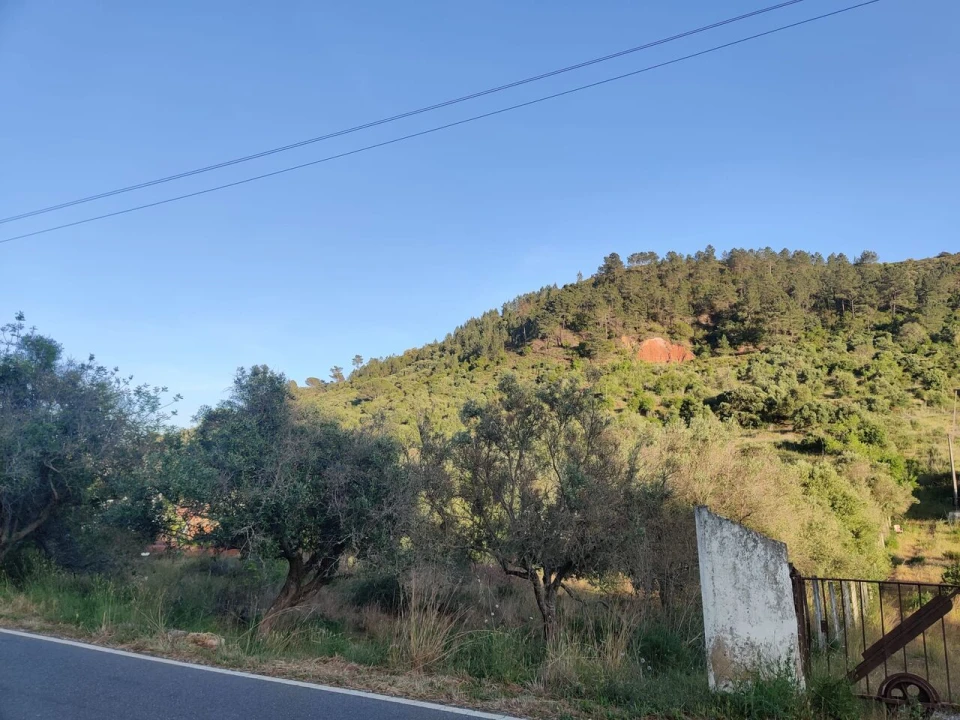 Terreno para Venda em São Bartolomeu de Messines Foto 1
