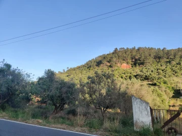 Terreno para Venda em São Bartolomeu de Messines