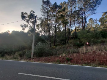 Terreno para Venda em São Bartolomeu de Messines