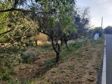 Terreno para Venda em São Bartolomeu de Messines