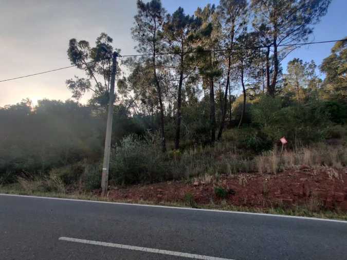 Terreno para Venda em São Bartolomeu de Messines Foto 3