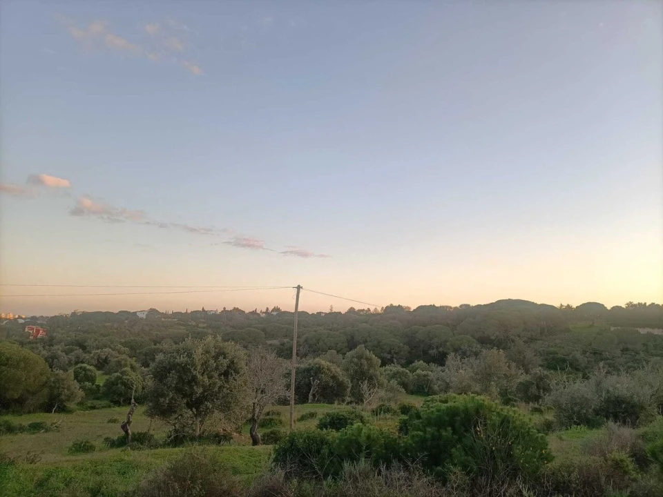 Terreno para Venda em Porches Foto 1