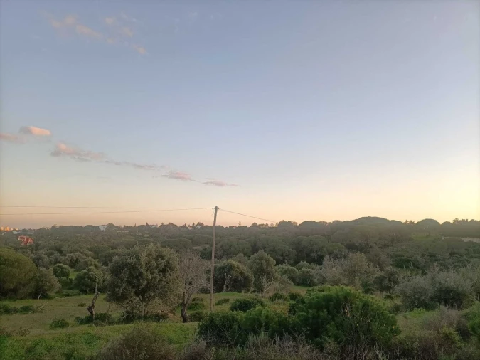 Terreno para Venda em Porches